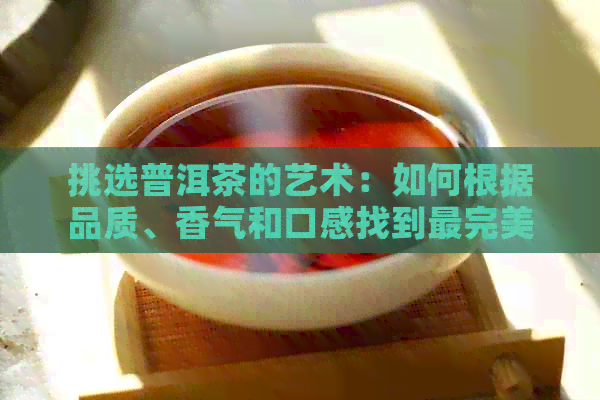 挑选普洱茶的艺术：如何根据品质、香气和口感找到最完美的茶叶