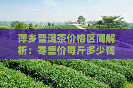 萍乡普洱茶价格区间解析：零售价每斤多少钱？