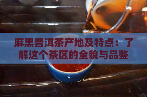 麻黑普洱茶产地及特点：了解这个茶区的全貌与品鉴技巧