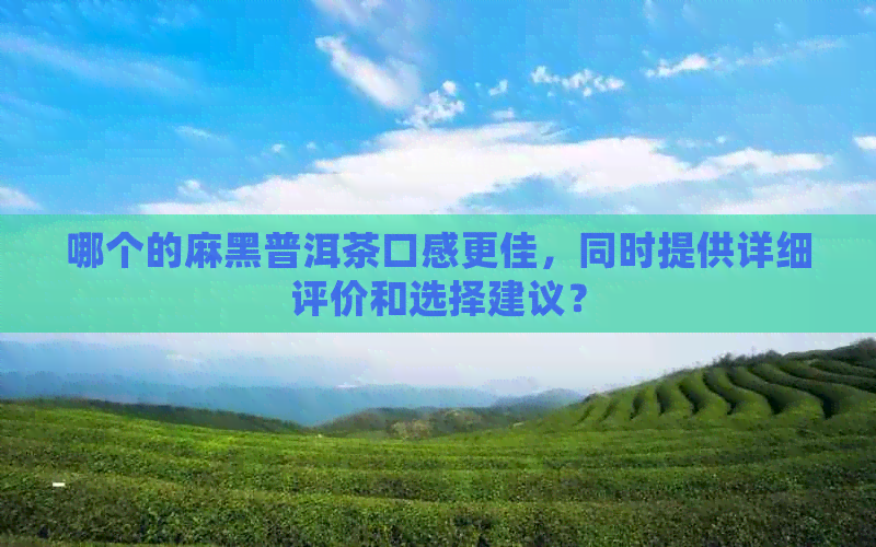 哪个的麻黑普洱茶口感更佳，同时提供详细评价和选择建议？