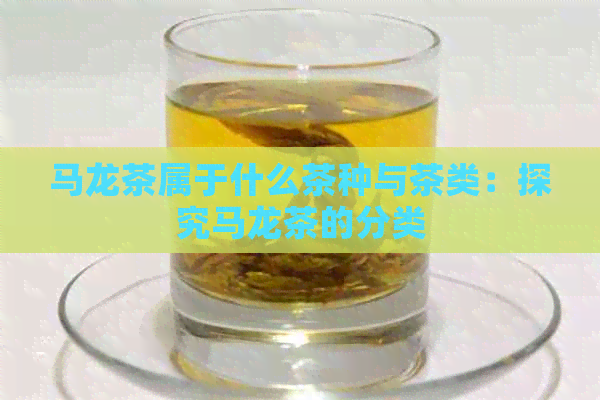 马龙茶属于什么茶种与茶类：探究马龙茶的分类