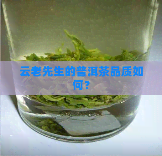 云老先生的普洱茶品质如何？