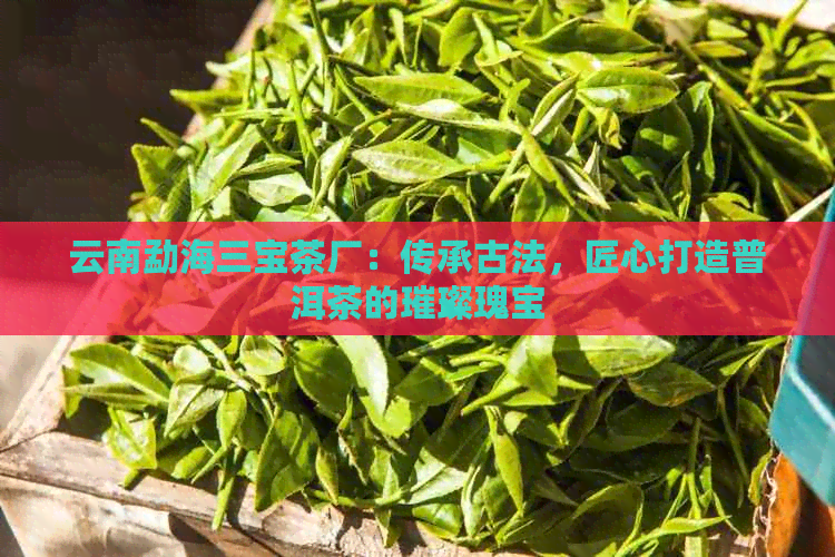 云南勐海三宝茶厂：传承古法，匠心打造普洱茶的璀璨瑰宝