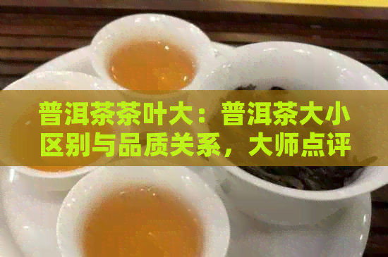 普洱茶茶叶大：普洱茶大小区别与品质关系，大师点评大全