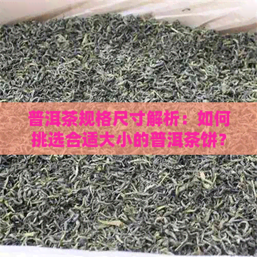 普洱茶规格尺寸解析：如何挑选合适大小的普洱茶饼？