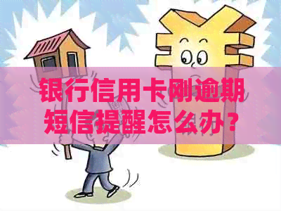 银行信用卡刚逾期短信提醒怎么办？