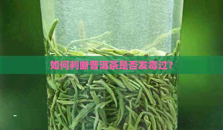 如何判断普洱茶是否发霉过？