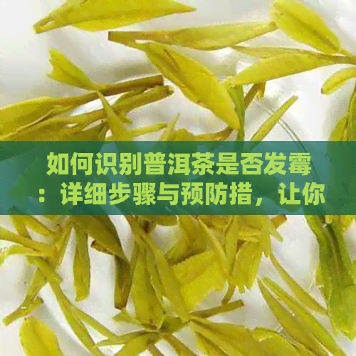 如何识别普洱茶是否发霉：详细步骤与预防措，让你喝得安心放心