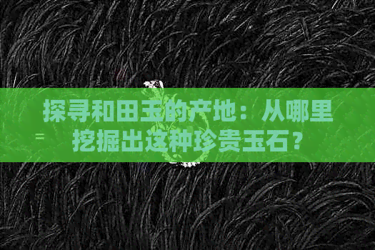 探寻和田玉的产地：从哪里挖掘出这种珍贵玉石？