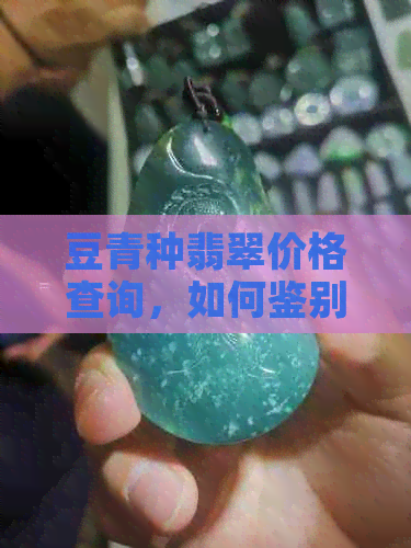 豆青种翡翠价格查询，如何鉴别与比较？