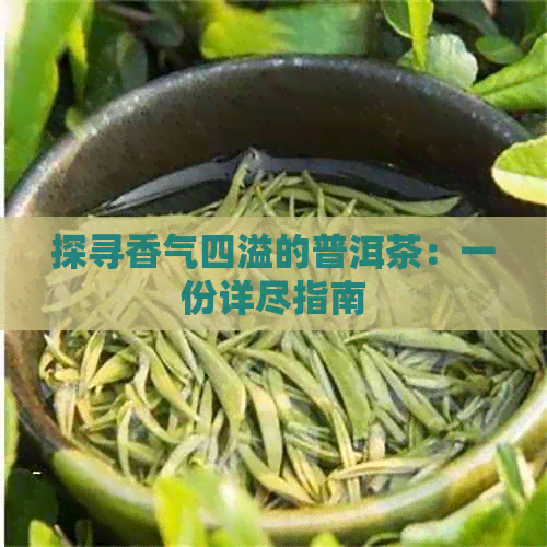 探寻香气四溢的普洱茶：一份详尽指南