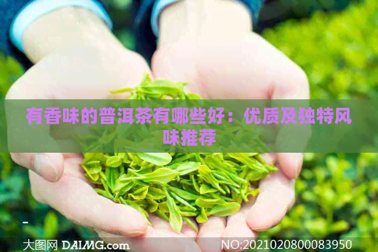 有香味的普洱茶有哪些好：优质及独特风味推荐