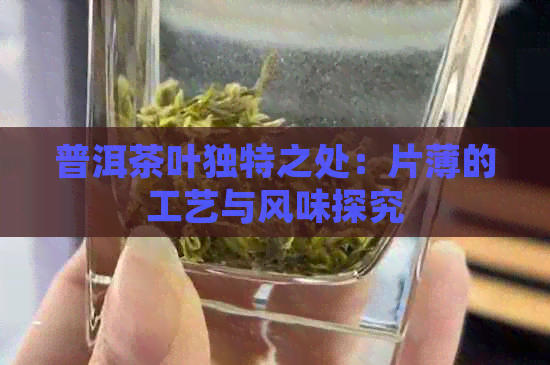 普洱茶叶独特之处：片薄的工艺与风味探究