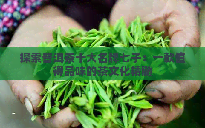 探索普洱茶十大名牌七子：一款值得品味的茶文化精髓