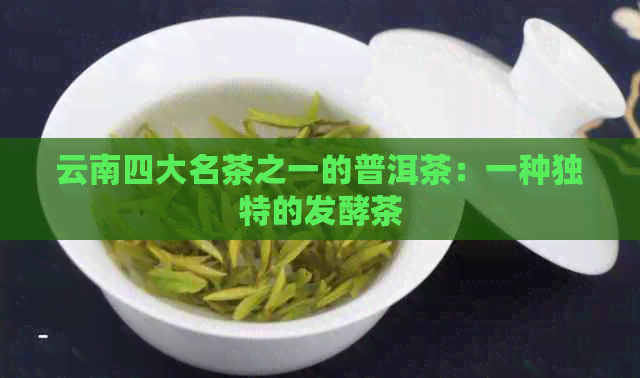 云南四大名茶之一的普洱茶：一种独特的发酵茶