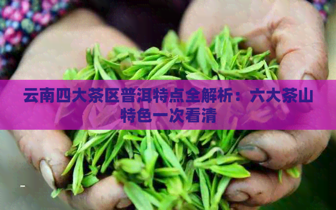 云南四大茶区普洱特点全解析：六大茶山特色一次看清