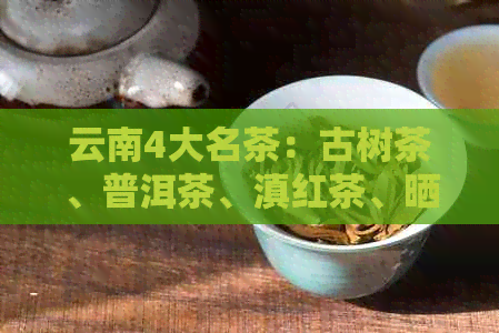 云南4大名茶：古树茶、普洱茶、滇红茶、晒青茶的魅力与品鉴技巧