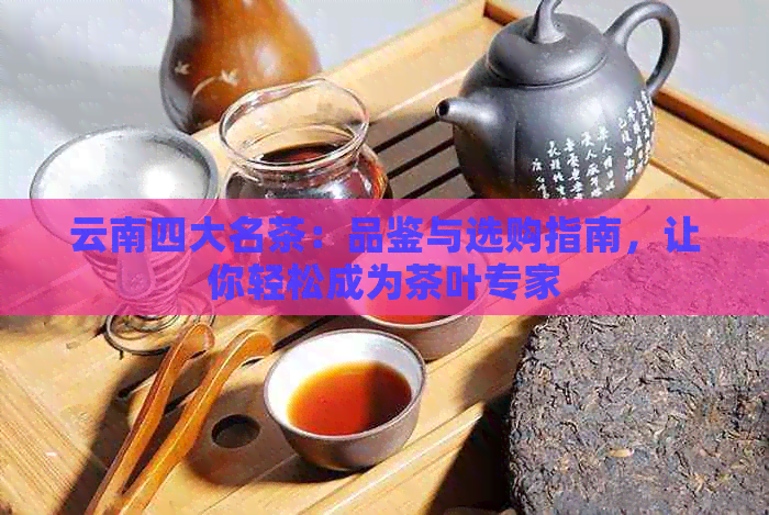 云南四大名茶：品鉴与选购指南，让你轻松成为茶叶专家