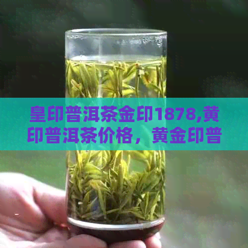 皇印普洱茶金印1878,黄印普洱茶价格，黄金印普洱茶8831