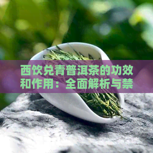 西饮兑青普洱茶的功效和作用：全面解析与禁忌