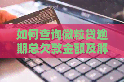 如何查询微粒贷逾期总欠款金额及解决方法，全面掌握还款信息