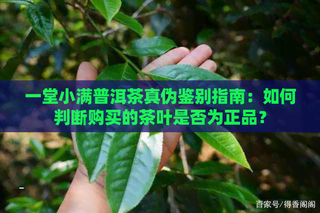 一堂小满普洱茶真伪鉴别指南：如何判断购买的茶叶是否为正品？