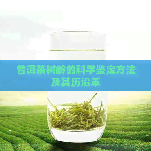 普洱茶树龄的科学鉴定方法及其历沿革