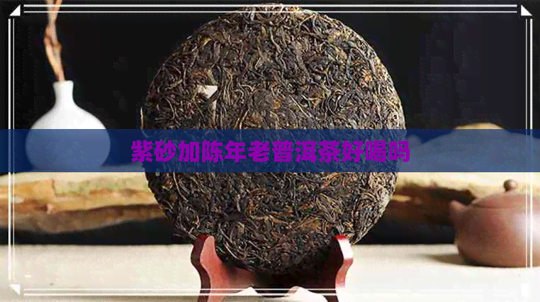 紫砂加陈年老普洱茶好喝吗