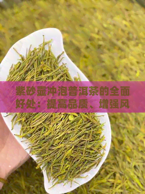 紫砂壶冲泡普洱茶的全面好处：提高品质、增强风味、促进健与艺术享受