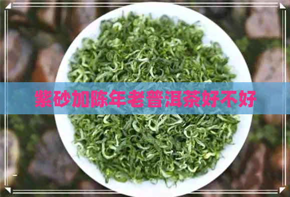 紫砂加陈年老普洱茶好不好