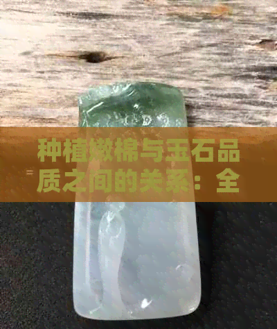 种植嫩棉与玉石品质之间的关系：全面解析