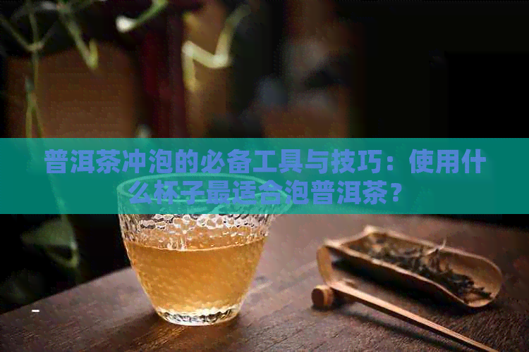 普洱茶冲泡的必备工具与技巧：使用什么杯子最适合泡普洱茶？