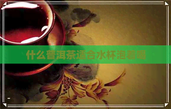 什么普洱茶适合水杯泡着喝