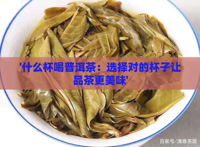 '什么杯喝普洱茶：选择对的杯子让品茶更美味'