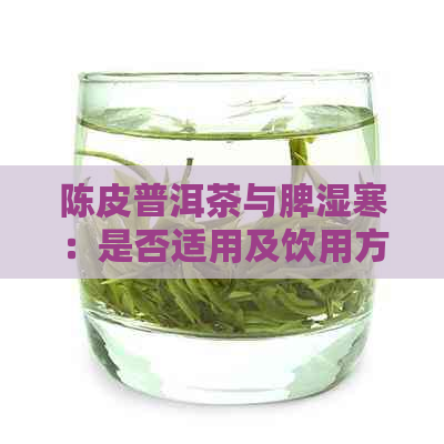 陈皮普洱茶与脾湿寒：是否适用及饮用方法的全面解析