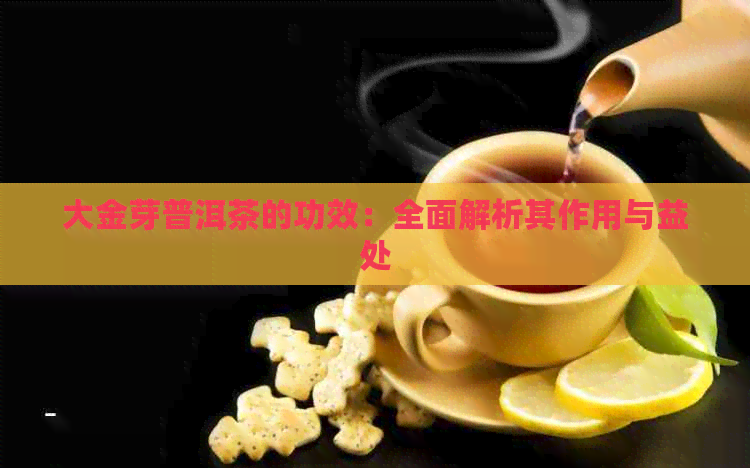 大金芽普洱茶的功效：全面解析其作用与益处