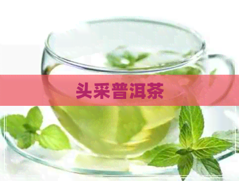 头采普洱茶