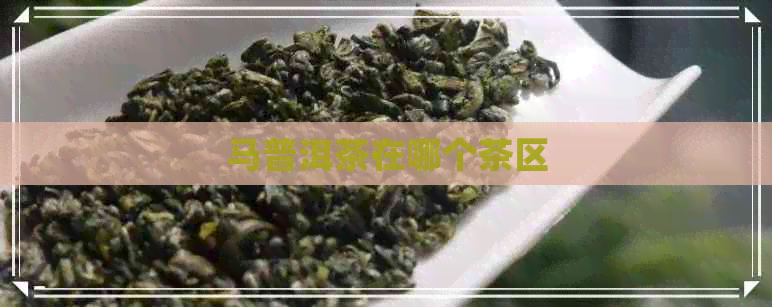 马普洱茶在哪个茶区