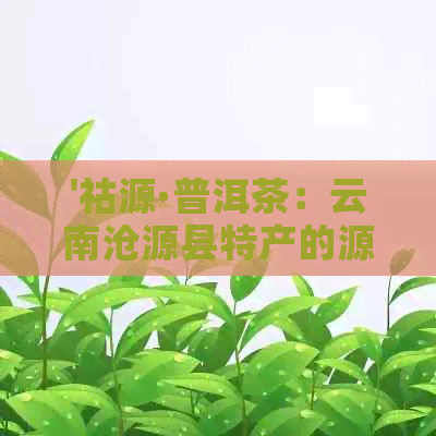 '祜源·普洱茶：云南沧源县特产的源普洱茶业，带你品味云南的独特魅力！'