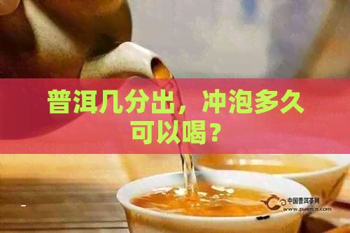 普洱几分出，冲泡多久可以喝？