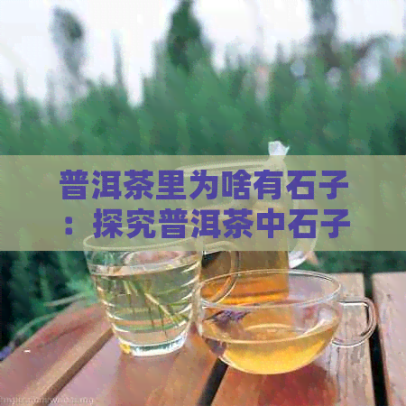 普洱茶里为啥有石子：探究普洱茶中石子的原因及味道。