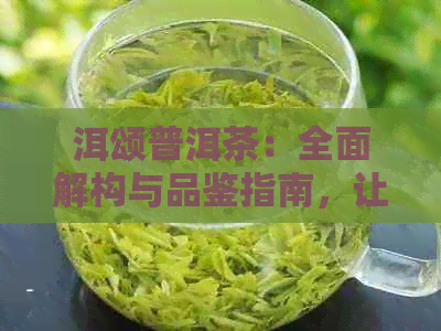 洱颂普洱茶：全面解构与品鉴指南，让你深入了解普洱茶的魅力与制作工艺