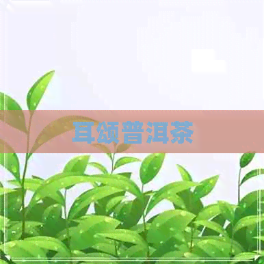 耳颂普洱茶