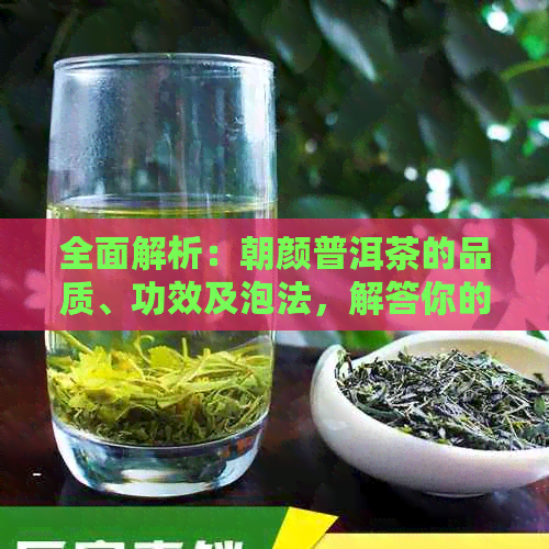 全面解析：朝颜普洱茶的品质、功效及泡法，解答你的所有疑问