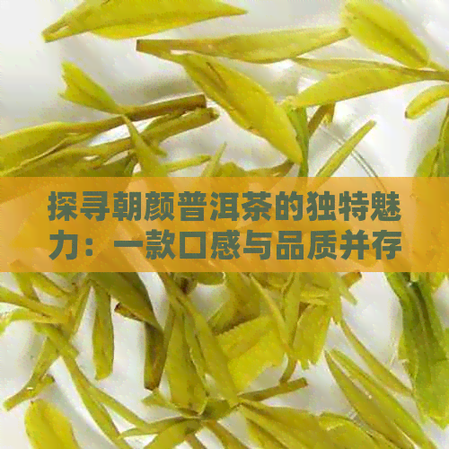 探寻朝颜普洱茶的独特魅力：一款口感与品质并存的熟茶