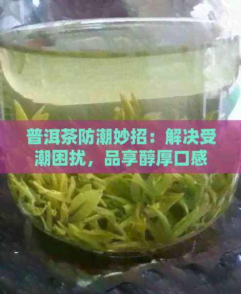 普洱茶防潮妙招：解决受潮困扰，品享醇厚口感