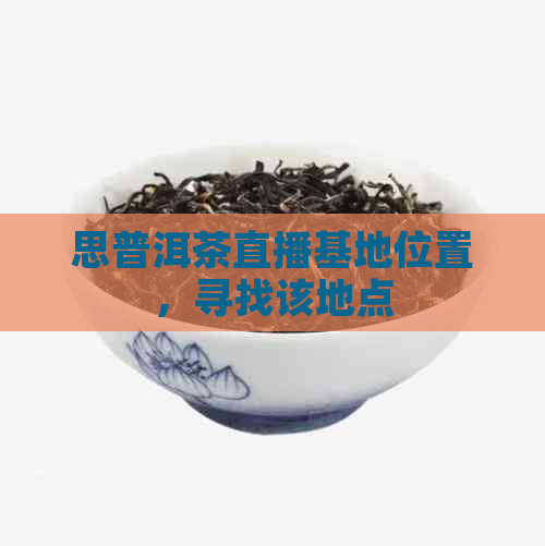 思普洱茶直播基地位置，寻找该地点