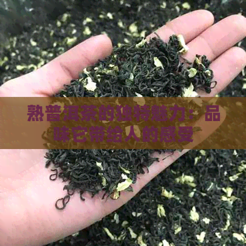 熟普洱茶的独特魅力：品味它带给人的感受