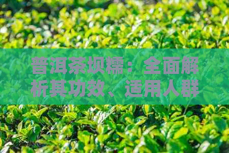 普洱茶坝糯：全面解析其功效、适用人群与泡法，助您更好地享受茶叶的益处