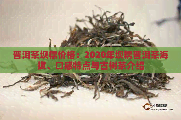 普洱茶坝糯价格：2020年坝糯普洱茶海拔、口感特点与古树茶介绍